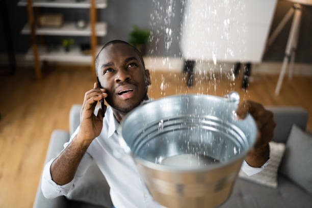 Best Water damage restoration cost  in Greensburg, LA