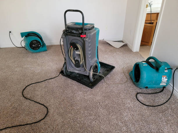 Best Water damage contractors near me  in Greensburg, LA