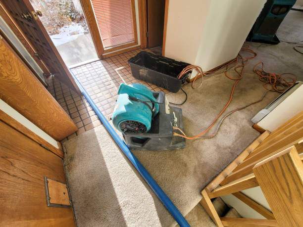 Best Local water damage restoration  in Greensburg, LA