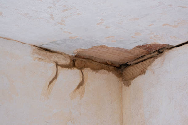 Best Residential water damage restoration  in Greensburg, LA
