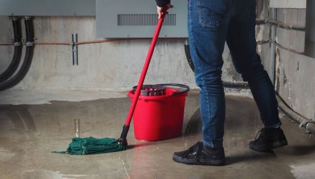 Best Water damage cleanup near me  in Greensburg, LA