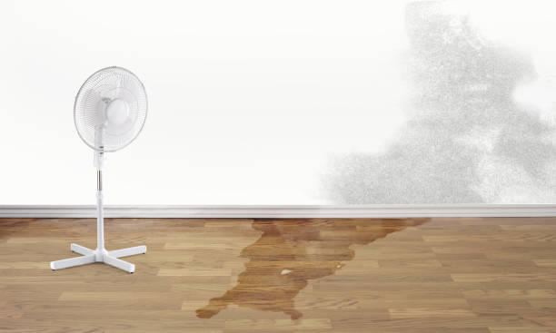 Best Water damage restoration near me  in Greensburg, LA