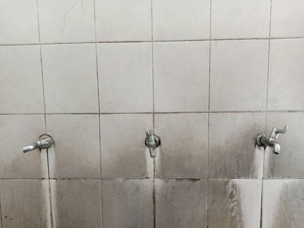 24/7 water damage repair in LA