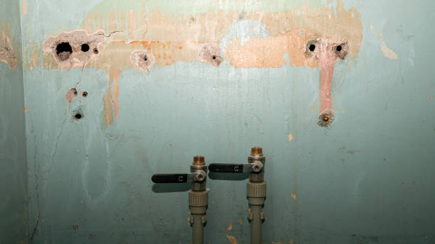 Best Sewage cleanup and water damage restoration  in Greensburg, LA