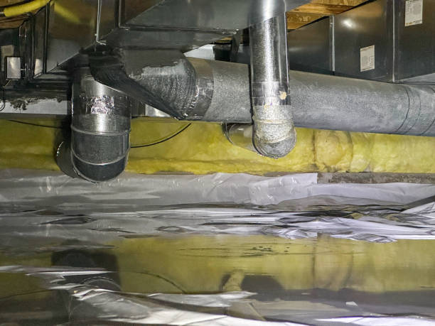 Best Mold removal after water damage  in Greensburg, LA