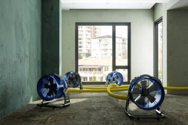 Best Ceiling water damage repair  in Greensburg, LA