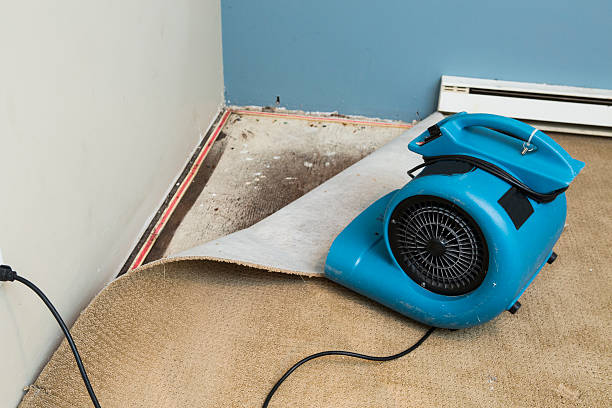Best Emergency water damage restoration  in Greensburg, LA